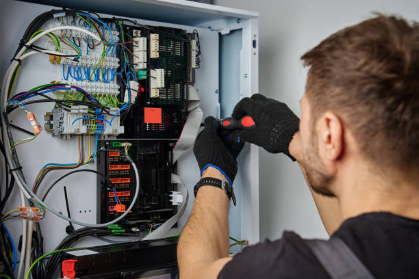 Licensed Electrical Panel Upgrade service in La Crescent, MN - No Joke electrician